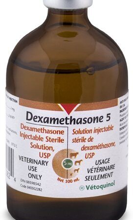 Dexamethasone