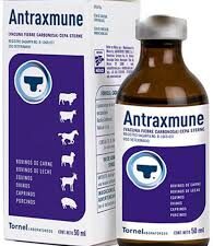 Buy Antraxmune Tornel 100ml
