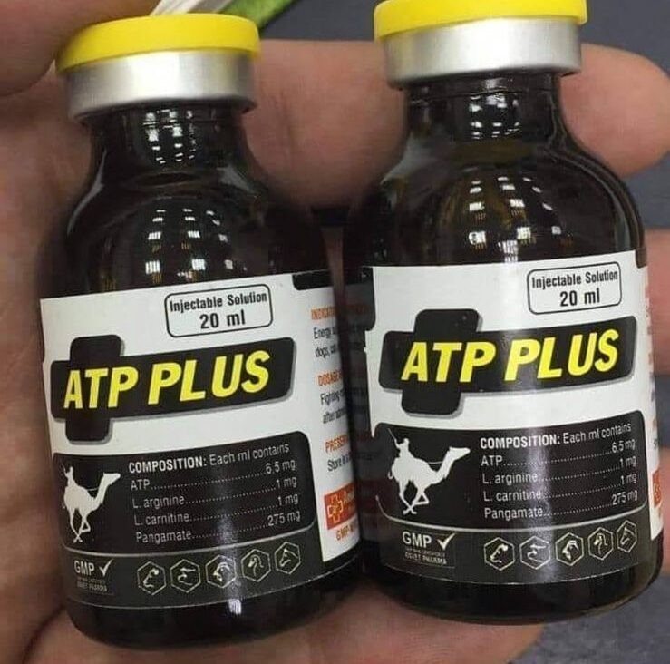 Buy ATP Plus Injection