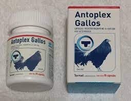 ANTOPLEX GALLOS