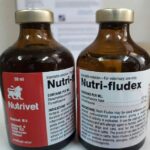 Buy Nutri - Fludex ml100