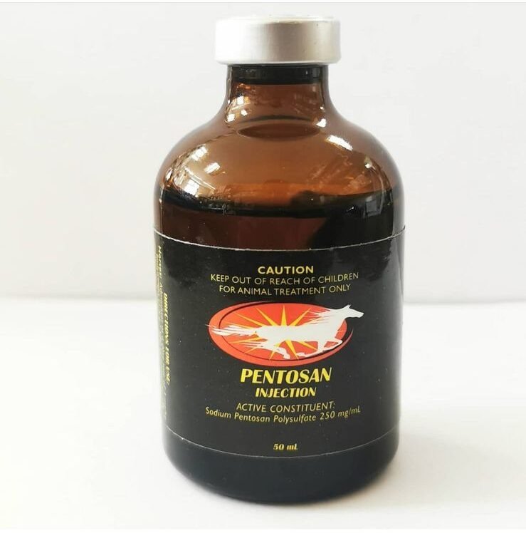 Buy Pentosan Injection Online – Trusted Veterinary Osteoarthritis Treatment