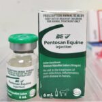 Pentosan Equine