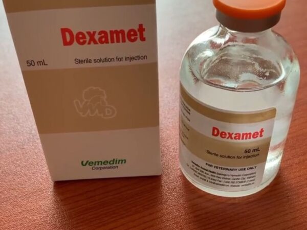 dexamet injection