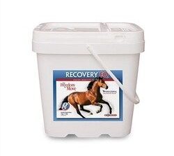 Recovery EQ Powder,