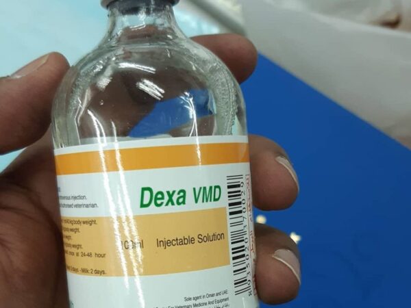 dexa vmd injection
