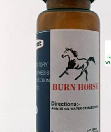 Burn horse