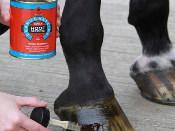 hoof dressing
