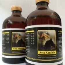 ASTA XANTHIN – 100 ML