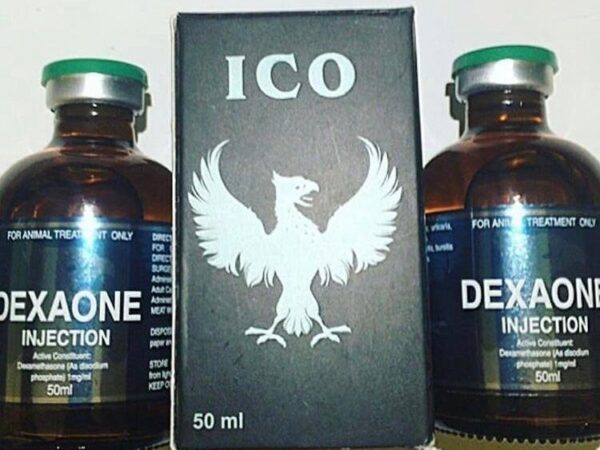 DEXAONE