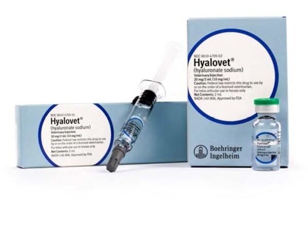 Buy Hyalovet Injection Online For Sale