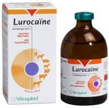 LUROCAINE 50ml