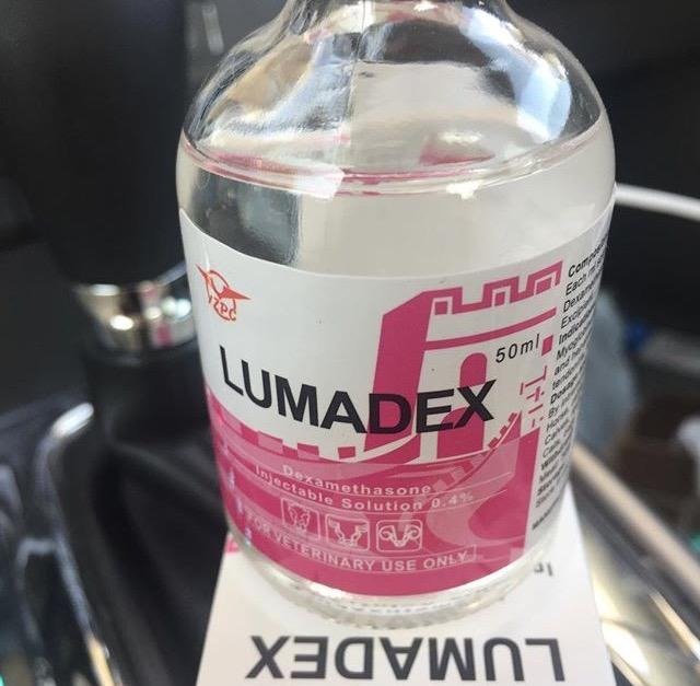 Lumadex-LUMADEX-50ml.jpg