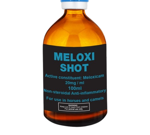 Buy Meloxi Shot 100ml Online From Equines Vet