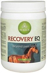 Buy Recovery EQ Powder Online