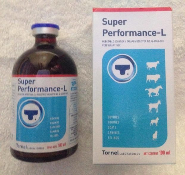 SUPER-PERFORMANCE-L.jpg