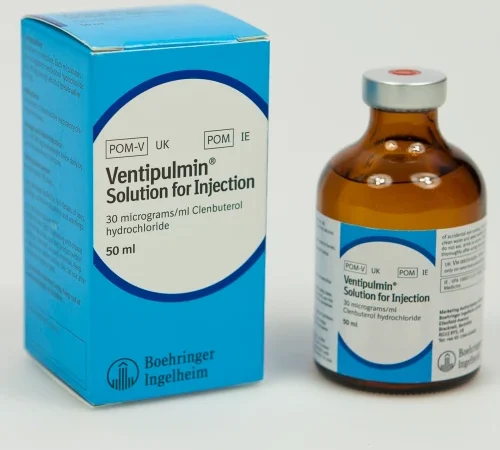 Buy Ventipulmin Injection 50ml Online