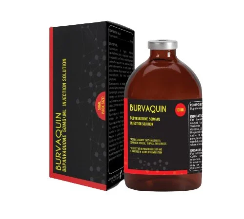 Buy Burvaquin Online - Premium Veterinary Antibiotic Solution