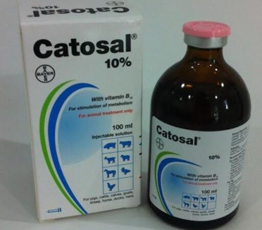 Catosal