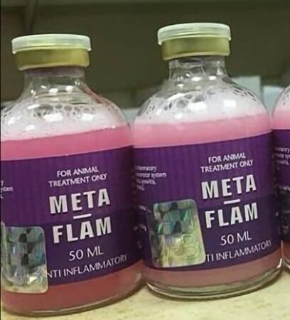 meta flam 50ml injection