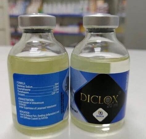 diclox injection