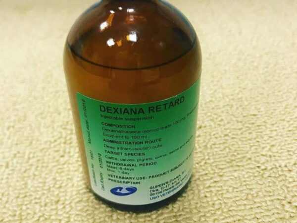 Dexiana Retard 100ml injection