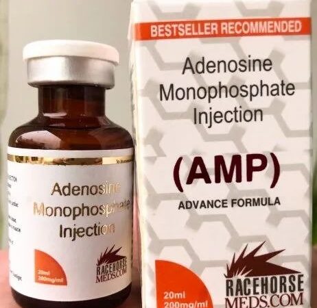 adenosine monophosphate injection AMP
