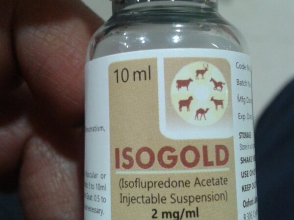 Isogold injectable