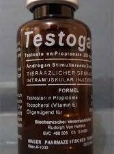 Testogar